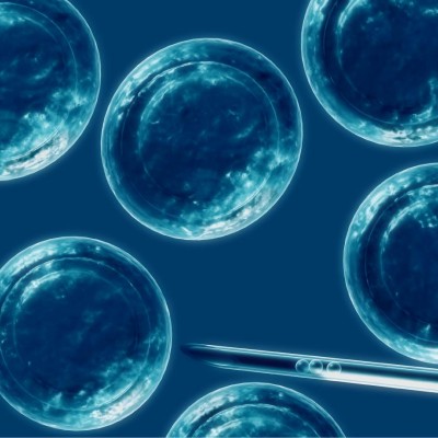 Estudio científico chino modificó ADN en embriones humanos