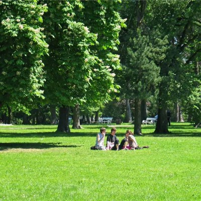  Que SLP vuelva a ser La Ciudad de los Jardines: Azuara Zúñiga