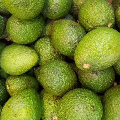  Mexicano desarrolla plástico a partir de aguacate