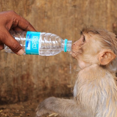  En fotos: así enfrenta India la ola de calor que ha matado a más de 1.700 personas