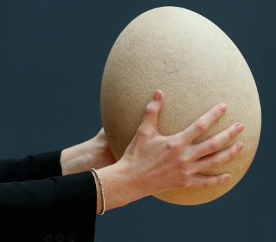 Subastan extraño huevo en 70,000 euros