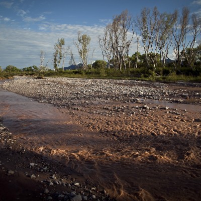  Preocupa en España entrada de Grupo México para explotar mina