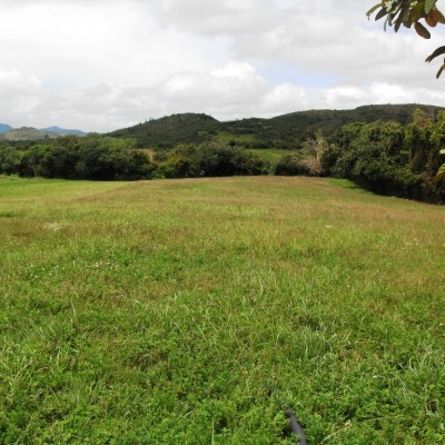 Aprobados dictámenes para donación de terrenos en Rioverde