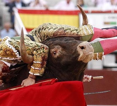  (Video) Terrible cornada a Saúl Jiménez, herido de gravedad