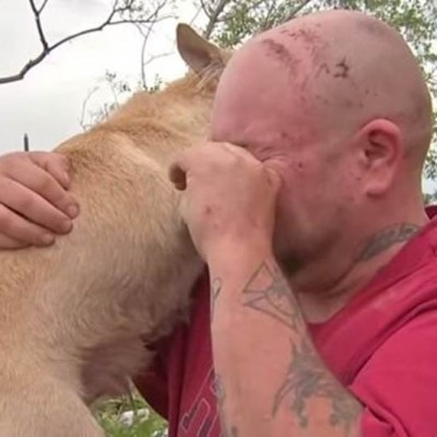  Video: Hombre llora al encontrar a su perro tras tornado