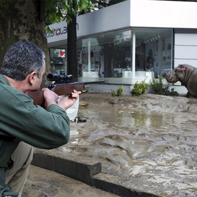  Caos en Georgia por diluvio; 11 muertos y más 30 animales escapan del zoológico