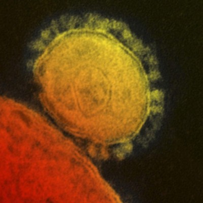  MERS enciende focos rojos en la economía de Corea del Sur