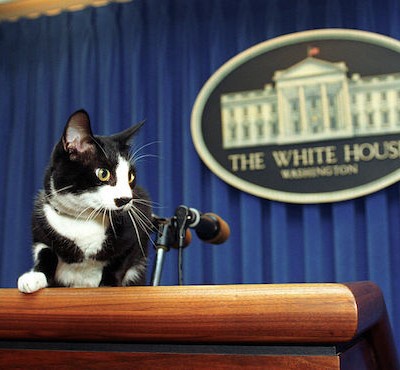  Ahí les tocó vivir: las 11 mascotas presidenciales