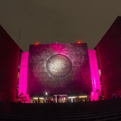  “Chapulines” de vuelta a San Lázaro