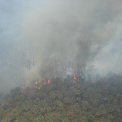  Necesario prevenir en materia de ecología: Diputado