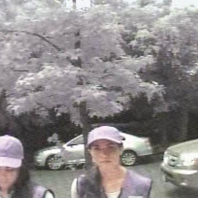  Caen tres de banda disfrazada