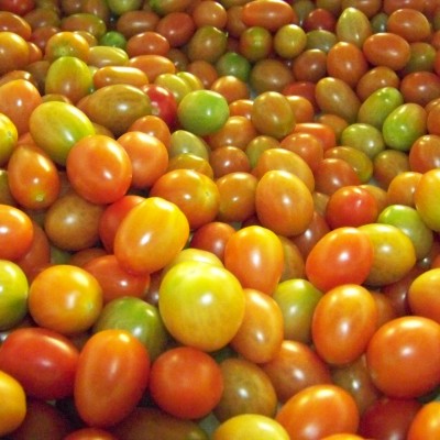  Realizará en SLP Congreso Internacional del Tomate