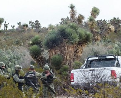  Investigan hallazgo de 7 cadáveres en Zacatecas