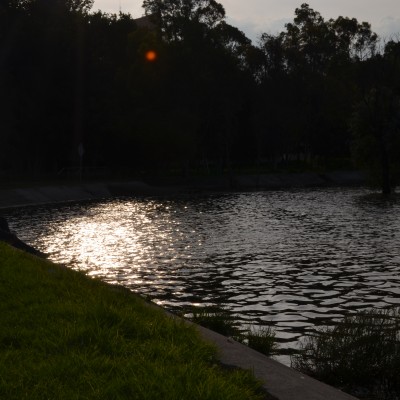  Parques Tangamanga I y II serán sede de campamentos de verano