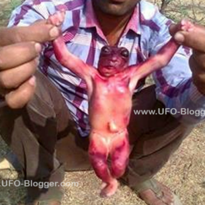  ¿Qué demonios es esto?