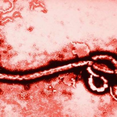  La OMS anuncia la primer vacuna eficaz contra el Ébola