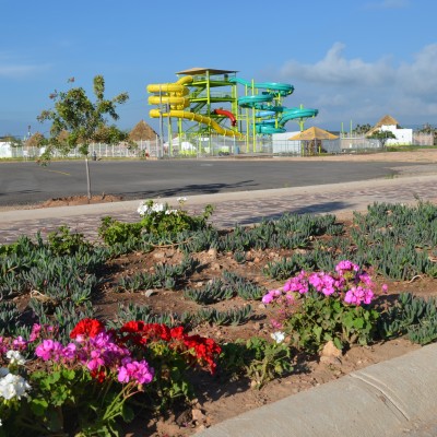  Anuncian reapertura del “Woow”