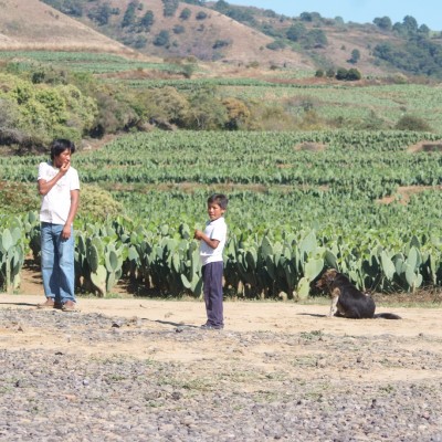  Rescatan a niños jornaleros en Coahuila