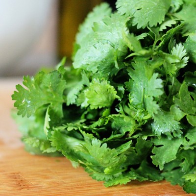  Alto al cilantro