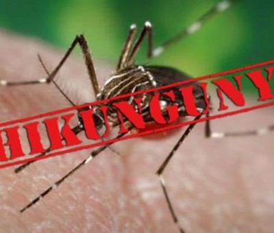  ¿Qué es eso del Chikungunya?