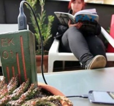  El invento chileno para recargar el celular conectándolo a una planta