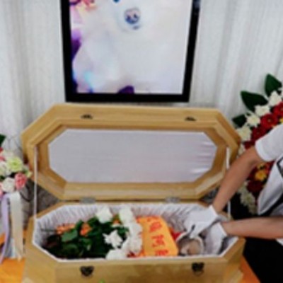  Funeral de lujo para un perro en China