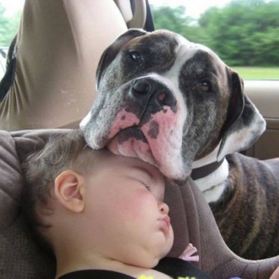  25 Razones por las que los niños necesitan mascotas