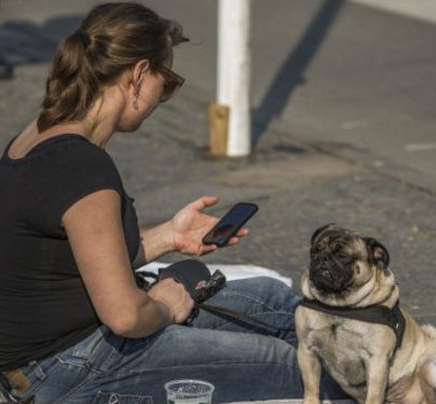  5 aplicaciones para aprender idiomas con tu celular