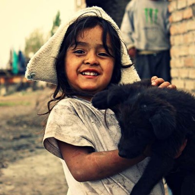 Perra amamanta a bebé desnutrido y le salva la vida, en Chile