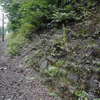  Bajo cerco policial, zona donde podría estar el tren del oro nazi