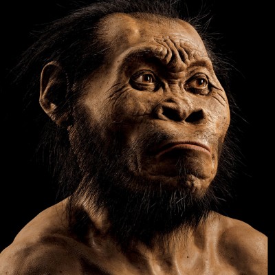 Descubren en Sudáfrica un nuevo antepasado del hombre: el Homo naledi