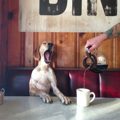  Café altera reloj interno del sueño