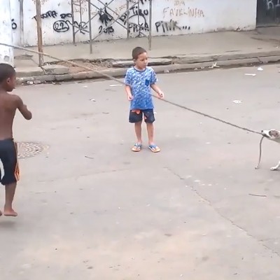  (Video) Sorprende a Internet perrito que ayuda a niños a ‘brincar la cuerda’