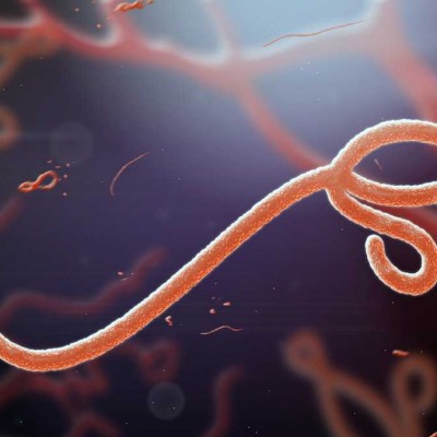  OMS alerta: supervivientes de ébola reproducen el virus “por razones desconocidas”