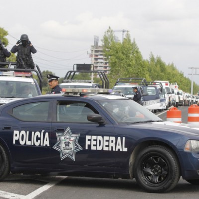  Detenida, mujer con 45 tortugas en maletas