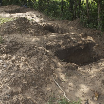  En menos de 24 horas, 11 cadáveres son hallados en Veracruz
