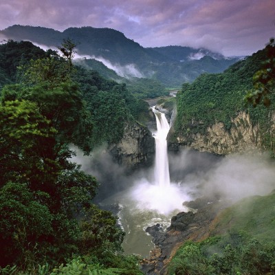  Amazonas en riesgo; 40% de la selva podría desaparecer