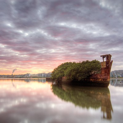 Convierten barco creado en 1911 en un bosque flotante en Sydney