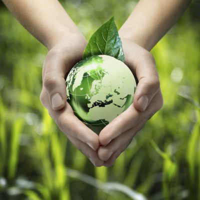  ¿Propósitos de Año Nuevo? ¡A cuidar el planeta en 2016!