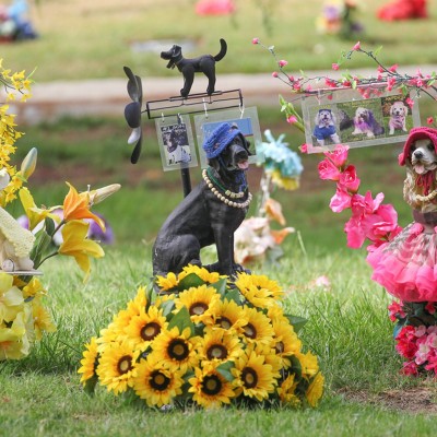  ¿Los perros se van al cielo? Imágenes de un cementerio de mascotas