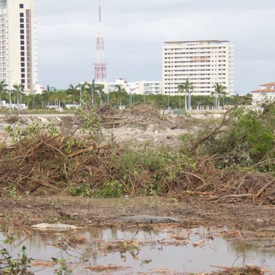  CNDH atiende quejas por destrucción de malecón Tajamar