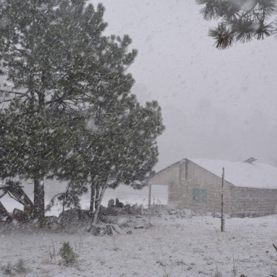  Se prevén heladas en el norte del país