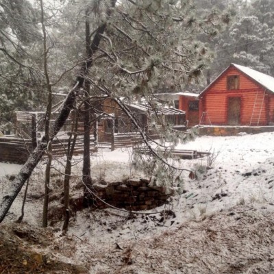  Montañas de Nuevo León se cubren de nieve