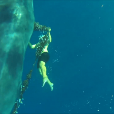  (Video) Joven arriesga su vida y salva una ballena atrapada en aguas de España