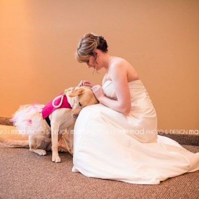  Perro guardián calma a su dueña durante ataque de pánico en su boda