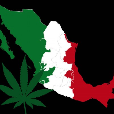  Arranca debate para regulación de marihuana