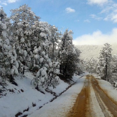  Prevén nevadas en noroeste del país por Frente Frío 35 y tormenta invernal