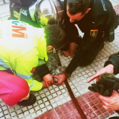  (Video) Bomberos salvan la vida de un perro en Madrid y se vuelve viral