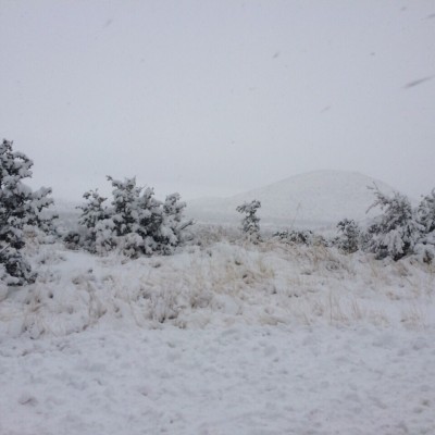  22 municipios de Sonora, en emergencia por heladas