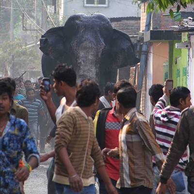  (Video) Elefante salvaje irrumpe en pueblo